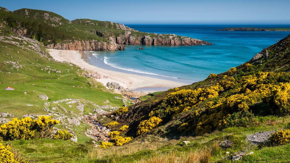 Beautiful blue beach with white sand and green grass