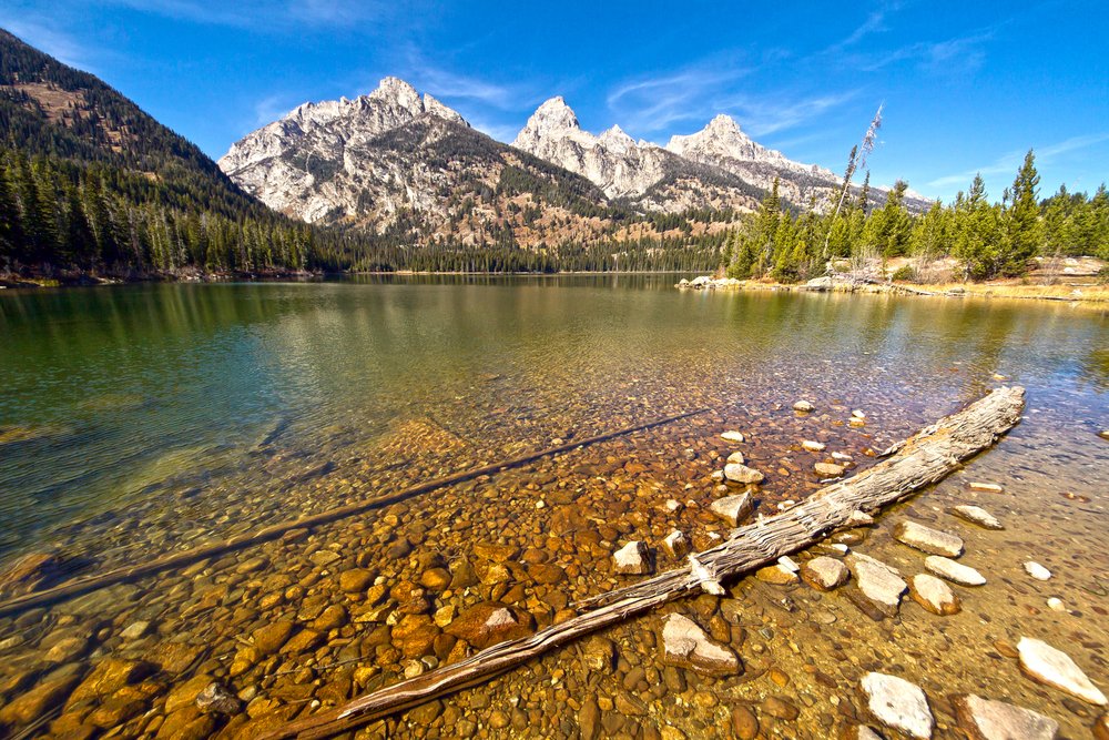 Very clear lake water, showing rocks and logs at the shallow end of the lake, deepening in color as the water goes out deeper, and mountain peaks behind it.