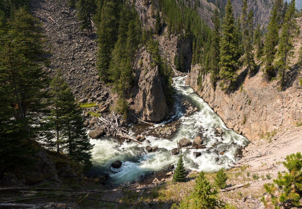 View of a rushing river, with rocks in the river bed, surrounded by mountains and trees.