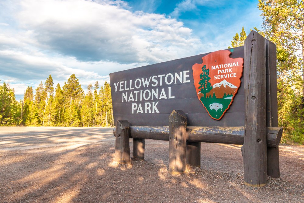 Sign that reads "Yellowstone National Park National Park Service", made of wood, surrounded by trees.