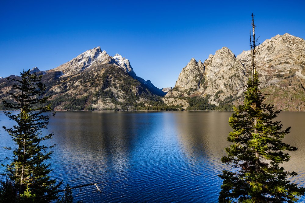 Deep blue water reflecting two large mountains, and two pines in front of the lake.