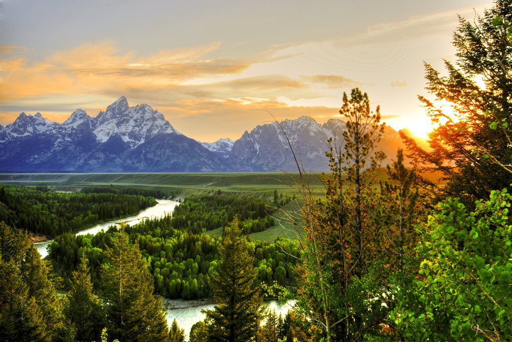 View of Moose Junction and the river snaking below it with a sunburst coming out of the trees as the sun sets behind the Teton range.