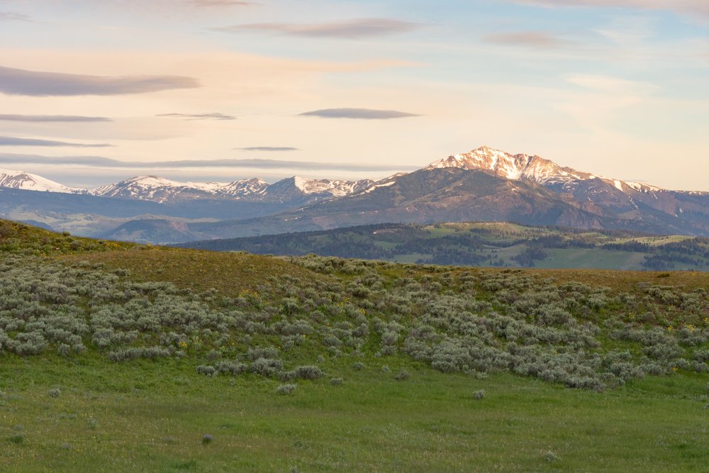 Late afternoon light falls onto the landscape on Blacktail Plateau, illuminating a distant mountain and a grassy plain.