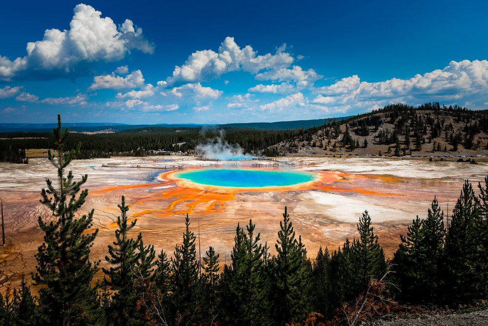 View of Grand Prismatic Spring and its orange and blue colors from afar, with a treeline in front of the view.