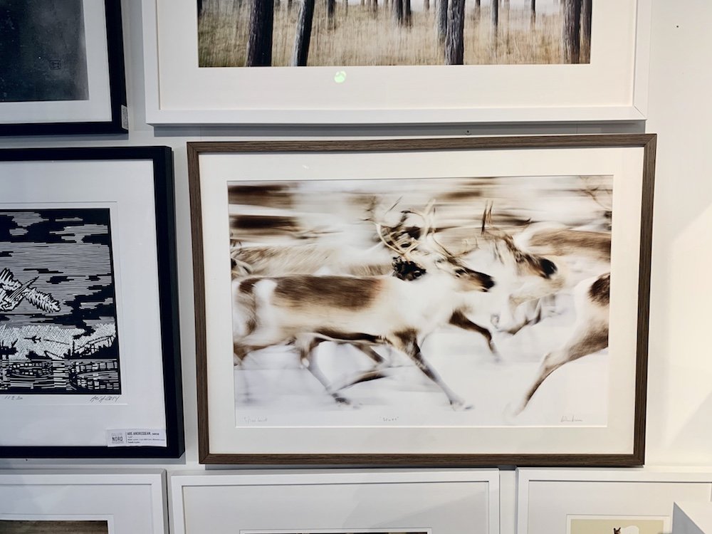 Photography in a gallery, with one photo showing a motion-blurred photograph of reindeer running in a muted display of colors.