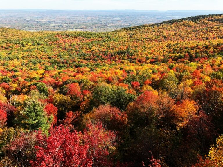 21 Best Places to See Fall Colors in the USA - Eternal Arrival