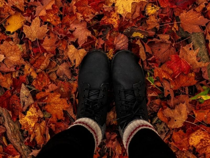 120 Colorful Fall Captions & Cute Fall Puns for Instagram - Eternal Arrival