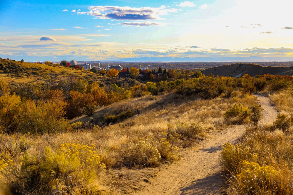 View of a hiking trail near Boise with lots of yellow grass and trees, in the distance you can see the buildings of the Boise skyline at sunset