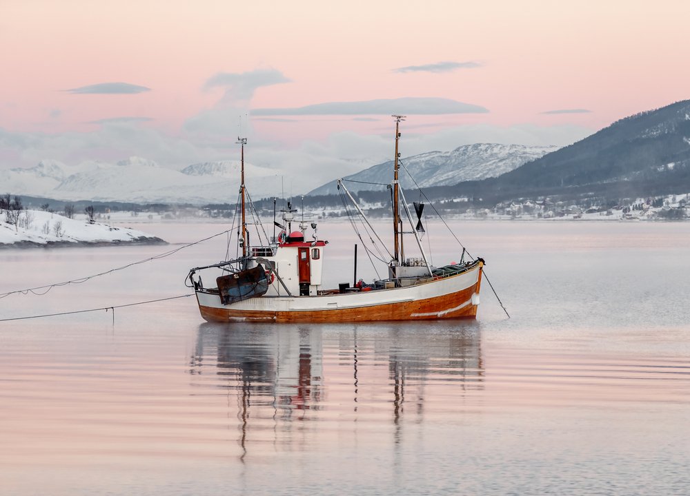 a boat on an icy landscape with pink pastel colors in the sky in tromso