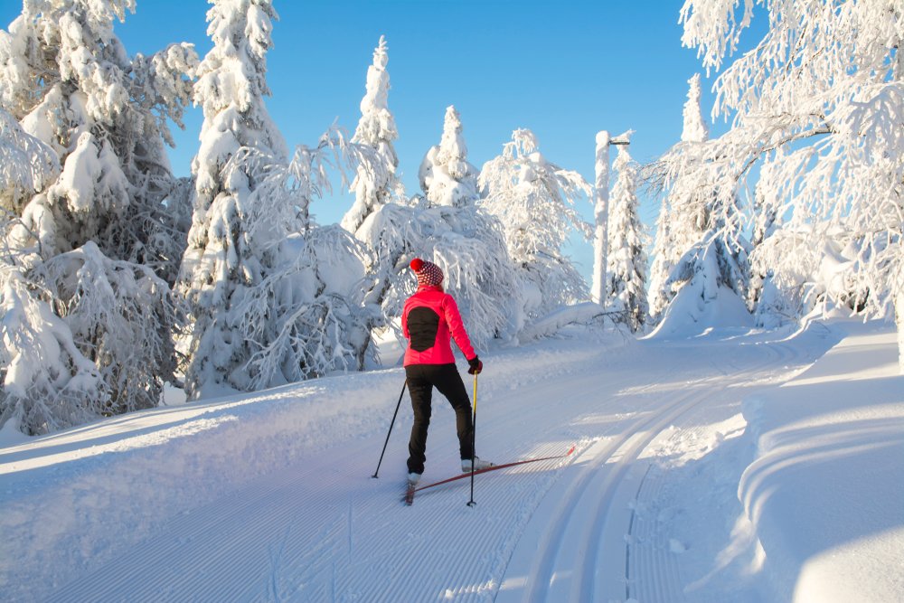 Woman in red jacket, hat, and black pants cross-country skiing in a Norwegian landscape