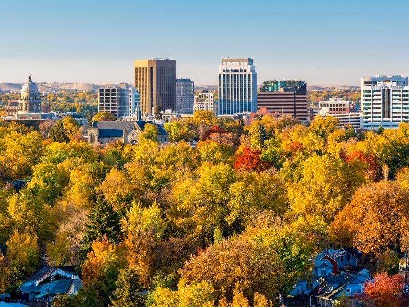 Yellow trees with a few red trees showing fall foliage, in front of the downtown Boise skyline with buildings rising above the tree tops on a sunny fall day.