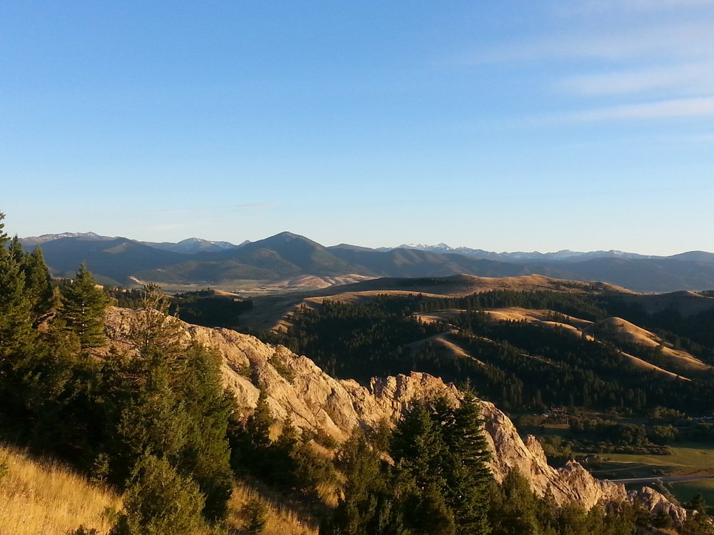 Shadowy hills and mountains with lots of evergreen trees and yellow grass in the summer on a sunny day