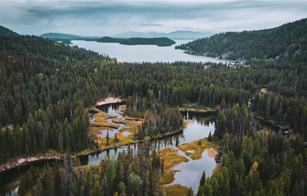 A view of the small marshy lakes and larger lake in the background in McCall Idaho on a cloudy, overcast day.