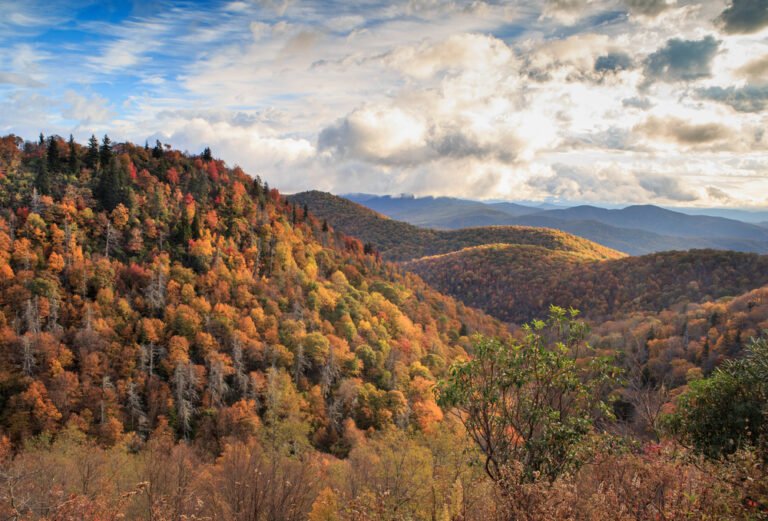 Your Perfect Blue Ridge Parkway Itinerary: Road Trip Tips + Best Stops ...