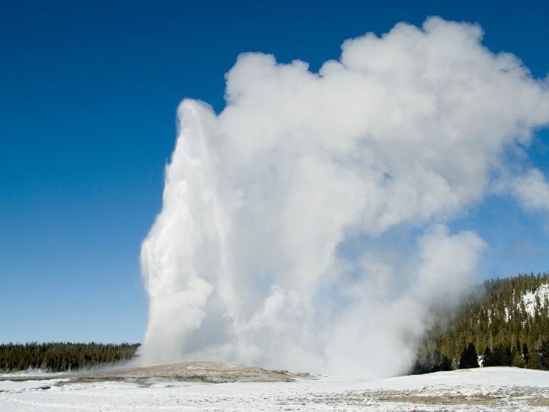 The Old Faithful geyser in Yellowstone National Park spewing steam high into the air on a winter day