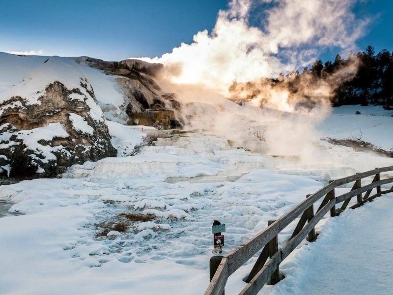 winter landscape in yellowstone