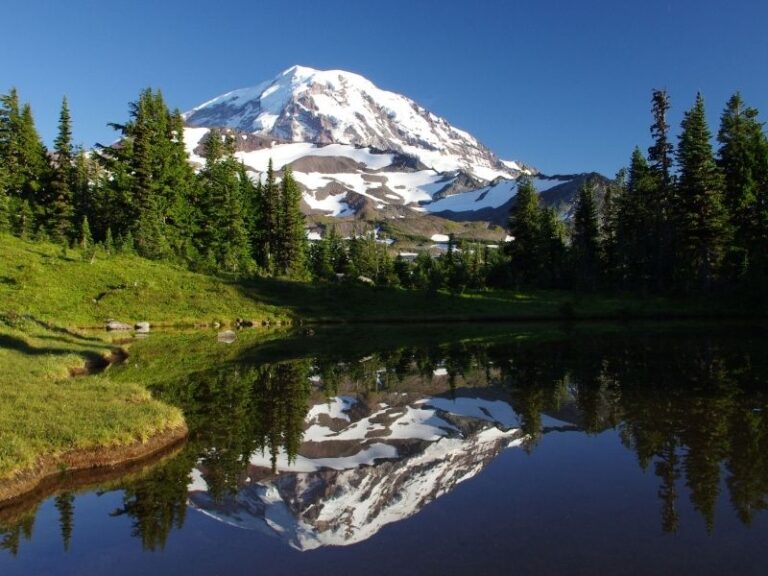 10 Best Things To Do In Mount Rainier National Park - Eternal Arrival