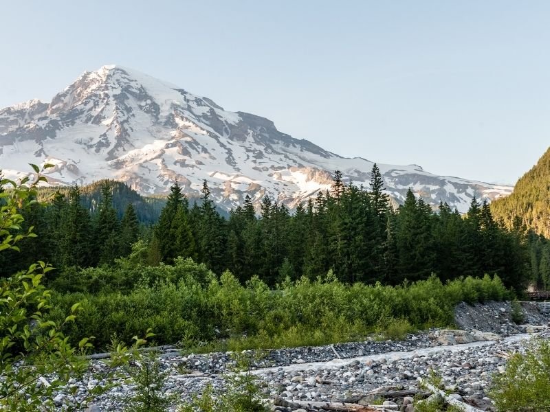 A view of Mt. Rainier from Longmire, with rock-strewn landscape, green trees in foreground and the mountain in the background.