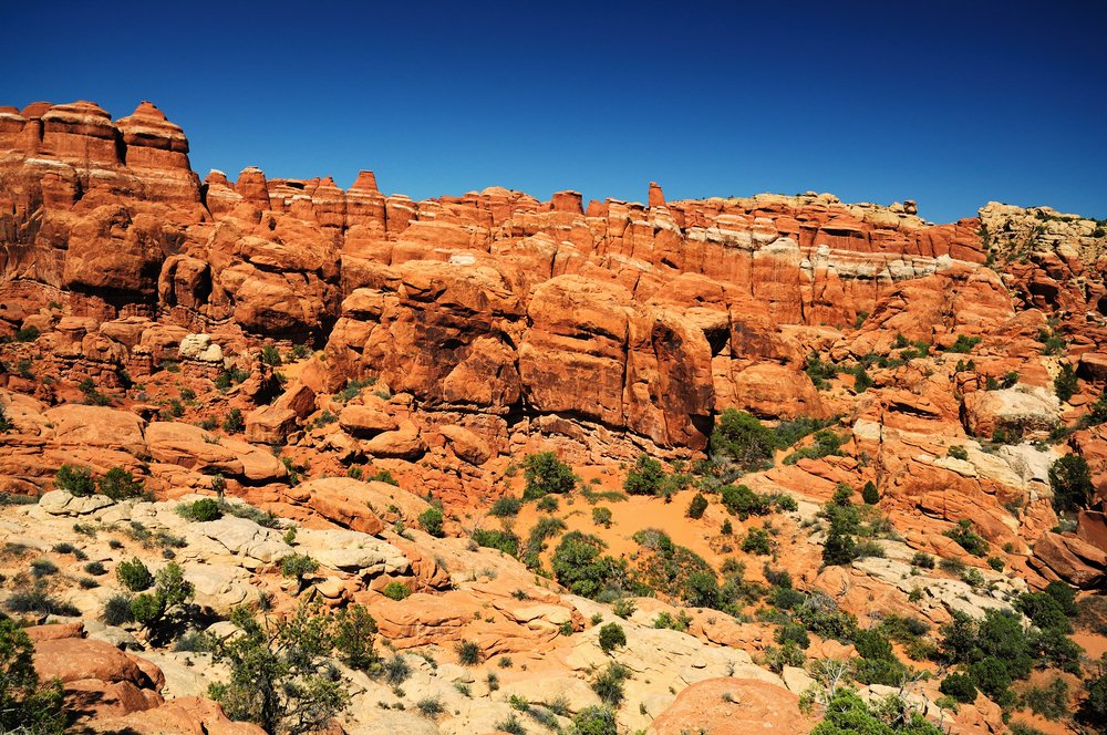 lots of beautiful red rocks at the fiery furnace viewpoint in arches