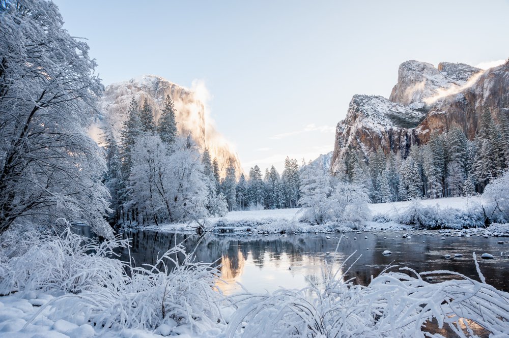White snow covered landscape with unfrozen Merced River reflecting a snowy scenery in the background including snowy pine trees and snowy granite rock cliffs.