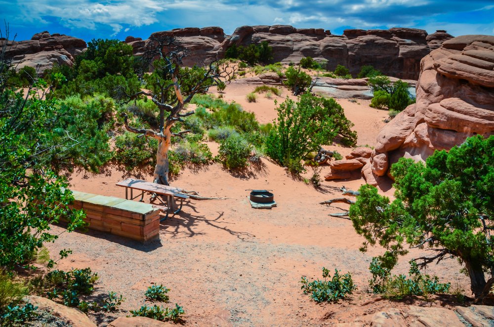 the campsite at arches national park, devils garden, surrounded by trees and red rocks.