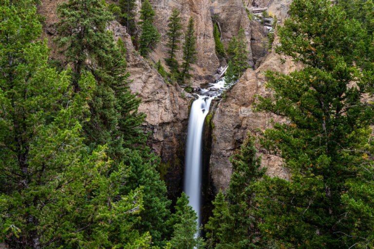 9 Best Hikes in Yellowstone for All Levels of Hikers