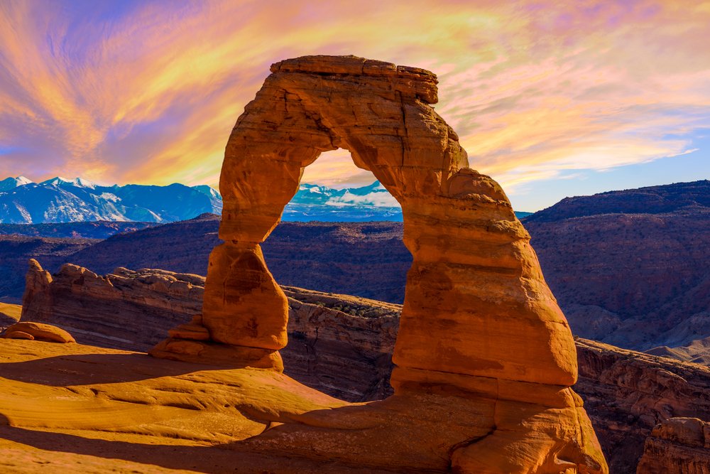 are dogs allowed at arches national park