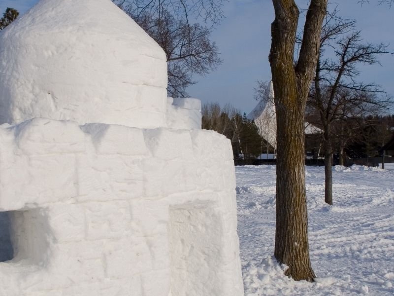 An ice castle building with snow in the background.