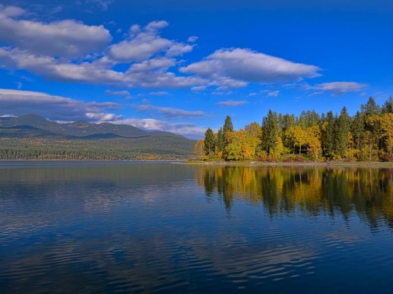 View of the lake of Whitefish with yellow and green pine trees in early autumn.