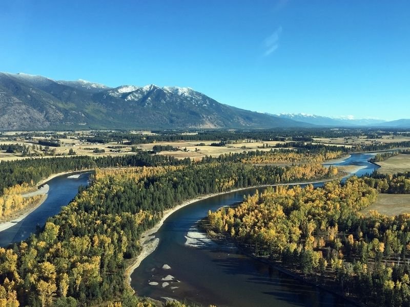 View of rivers winding amidst yellow and green trees in early autumn in Kalispell, MT, a popular place to end a Montana road trip itinerary.