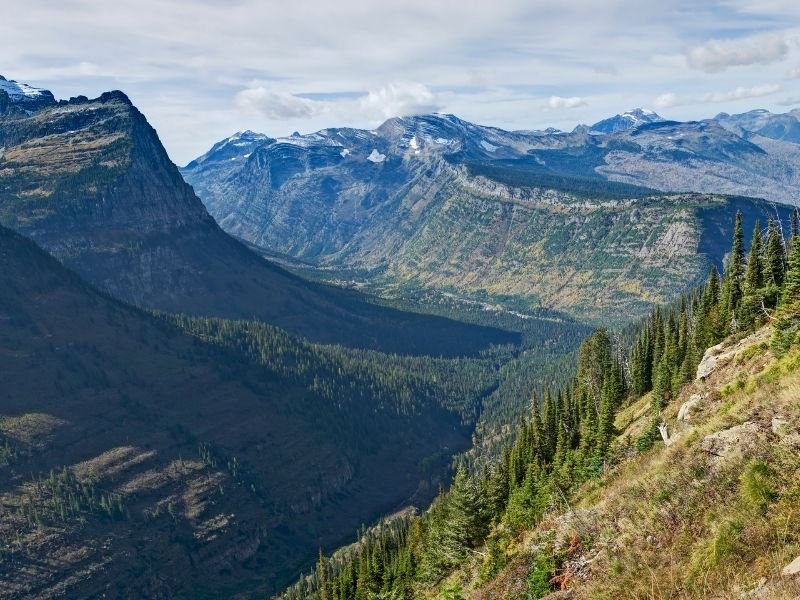 View from the Highline Trail over Glacier National Park's glacial mountains and valleys, covered in trees in the middle of summer with very little snow.