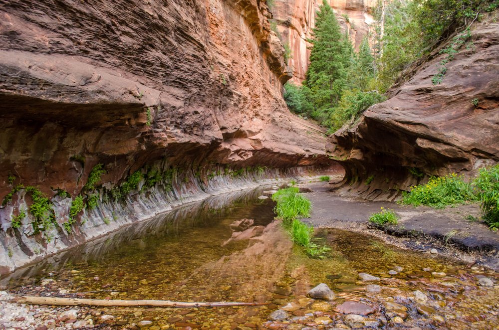 Trail through a slot canyon with greenery and red rocks in Sedona -- a must-visit place to stop on an Arizona road trip