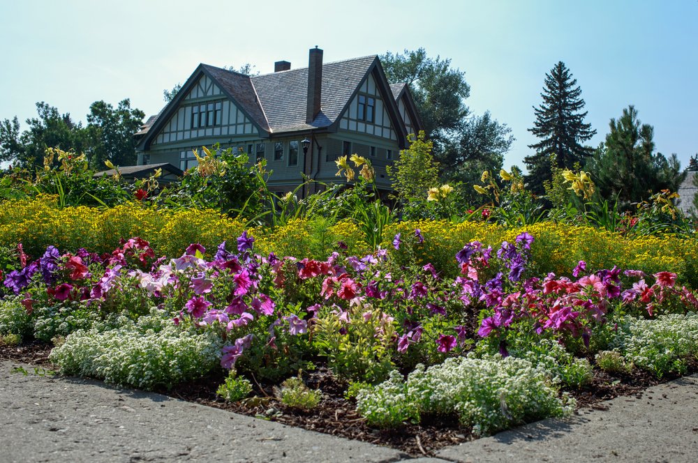 A bunch of landscaped flowers in front of a large house in downtown Bozeman.