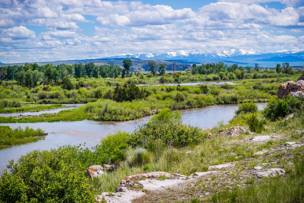 A grassy creek or river landscape with mountains in the distance.