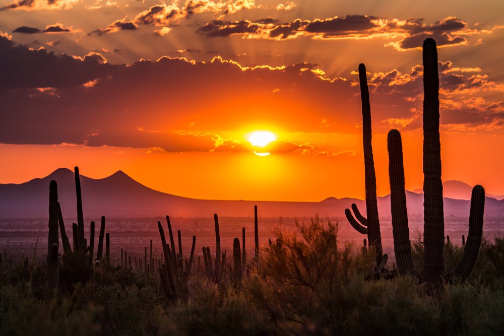 Brilliant sunset in Tucson with pink and orange sky in a desert landscape with silhouetted cacti.