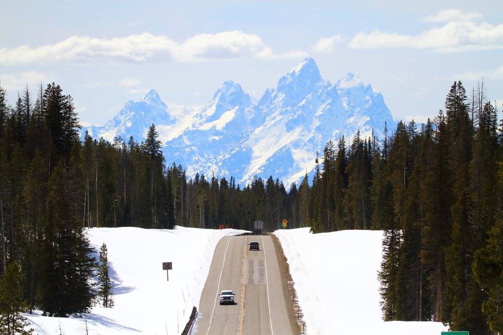 A view of a plowed road leading through a pine forest with a clear view of the Grand Teton winter range ahead