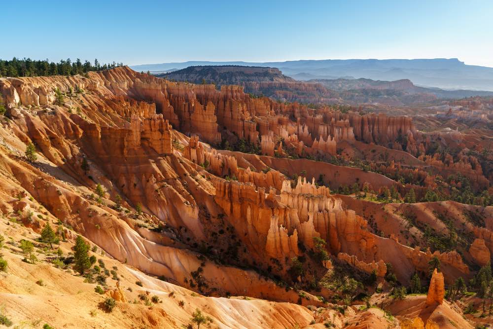 A brilliant view over the hoodoos in Bryce Canyon. Hoodoos are vertical finger-like rock formations formed by erosion over time.