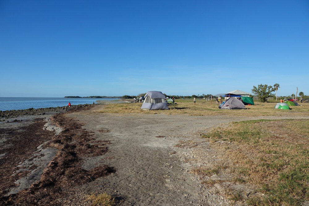 Tent sites placed along the beach in Everglades National Park in Flamingo Campground