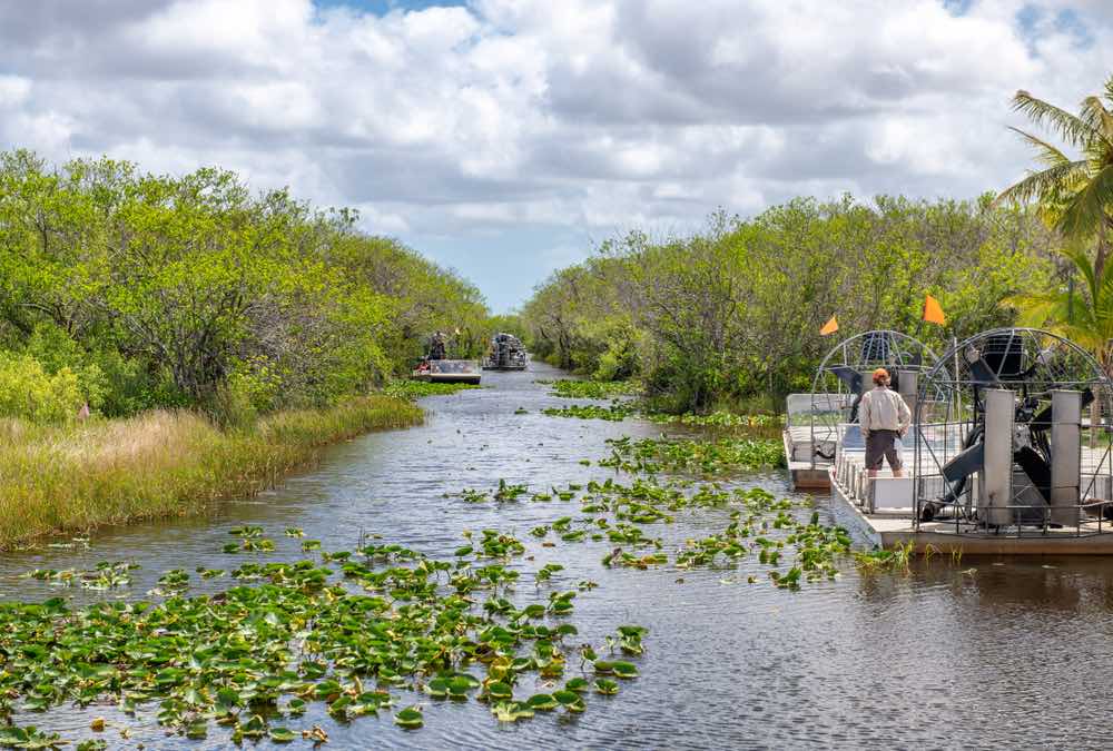 Finding Alligators In Sawgrass Recreation Park, Florida - Hand Luggage Only  - Travel, Food & Photography Blog