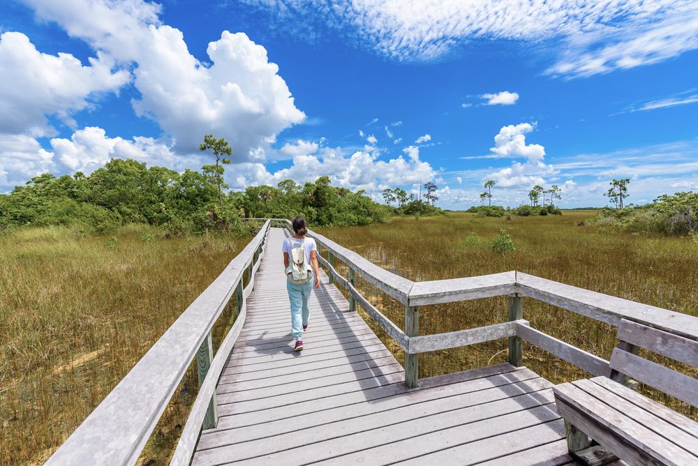 Woman in a white t-shirt, long light blue pants, and sneakers walking on the boardwalk of Hammock Trail in Everglades National Park 