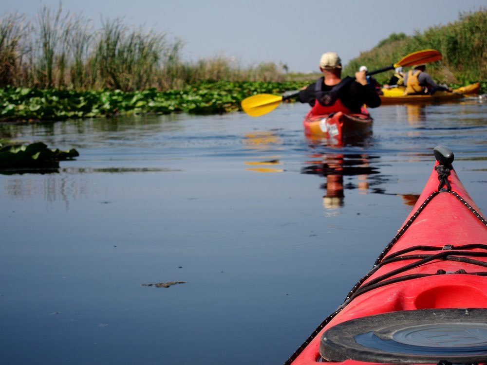 Nose of the red kayak against the background of a man rowing in a kayak and water lilies