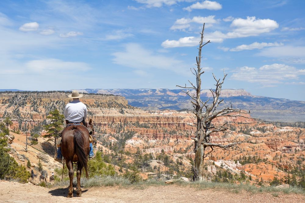 Man on a brown horse wearing a cowboy hat and looking over the canyon views.