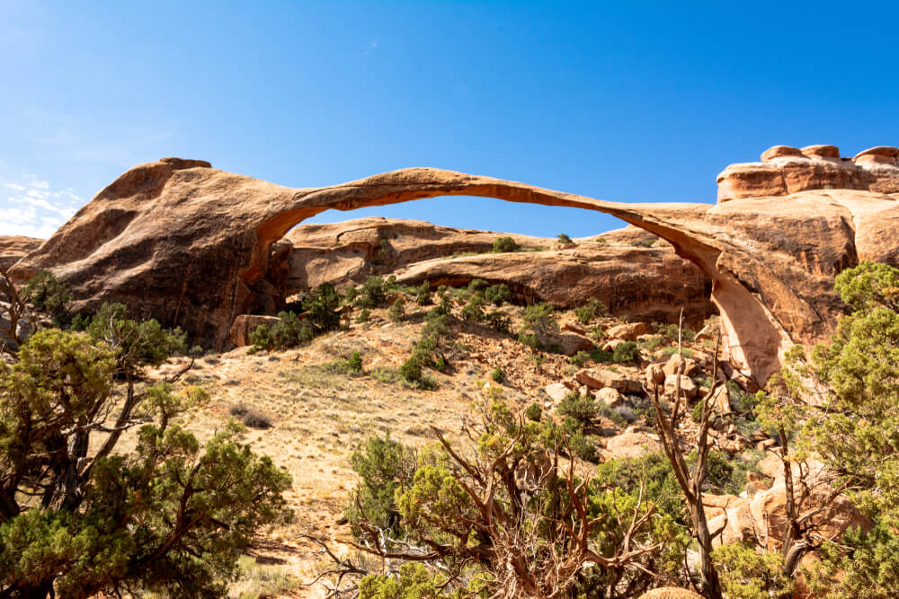 A view of a long, delicate arch spanning 300 feet across two rock formations, with brush and red rock landscape in the foreground of photo.