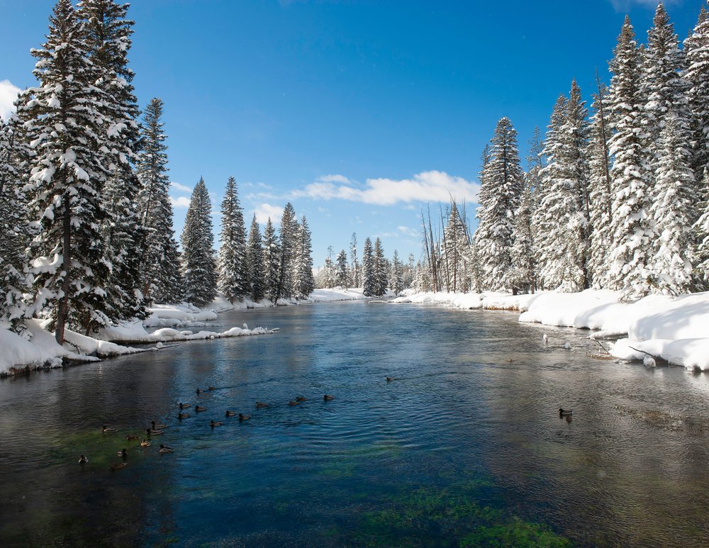 A river amidst a snowy landscape with snow-covered trees in Montana's Big Sky backcountry