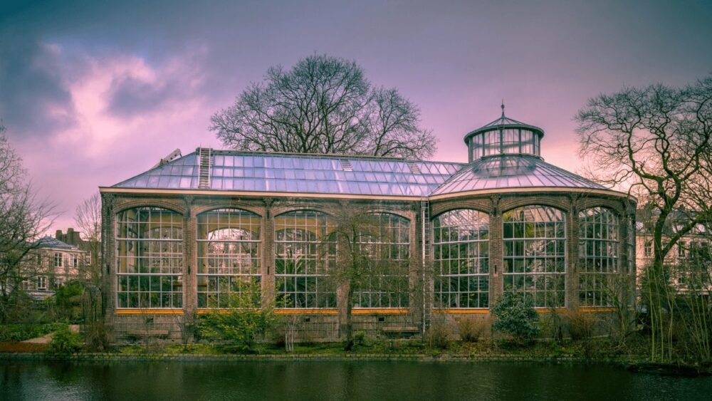 Sunset at the Hortus Botanicus, a clear glass greenhouse surrounded by trees.