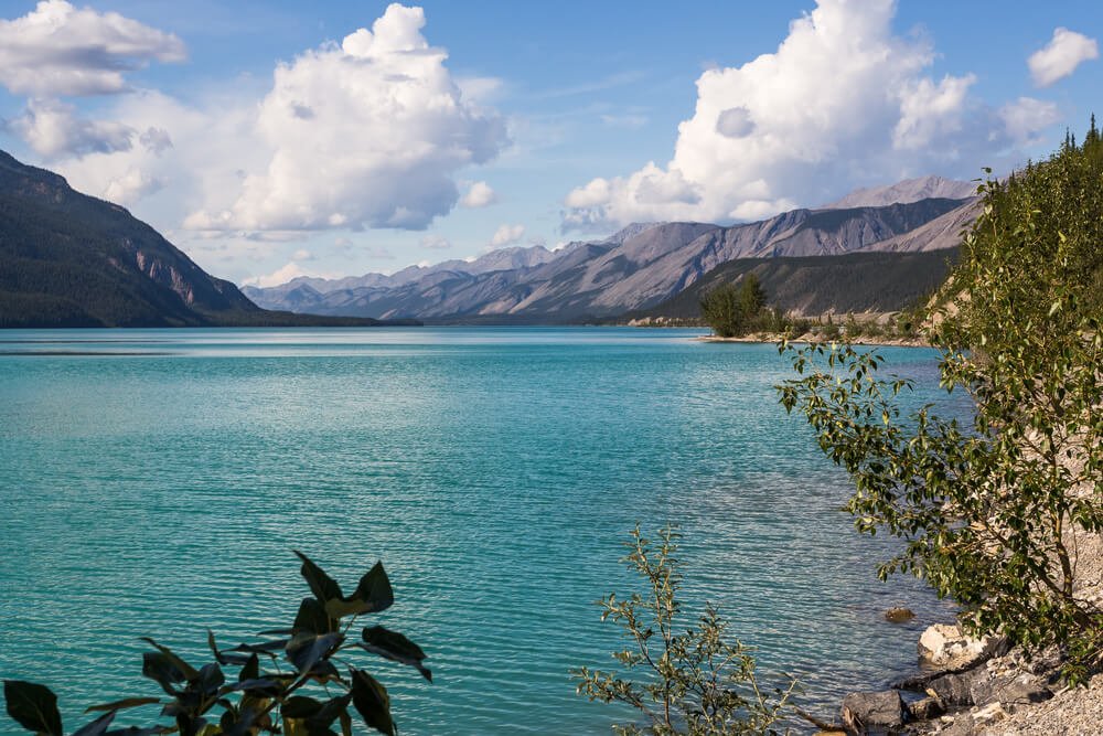 Jade green waters surrounded by some leaves and greenery with mountains and clouds in the distance on a road trip to Alaska