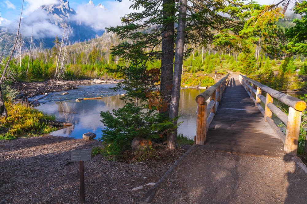 Narrow footbridge crossing a section of String Lake surrounded by green trees at the start of this Grand Teton hike.