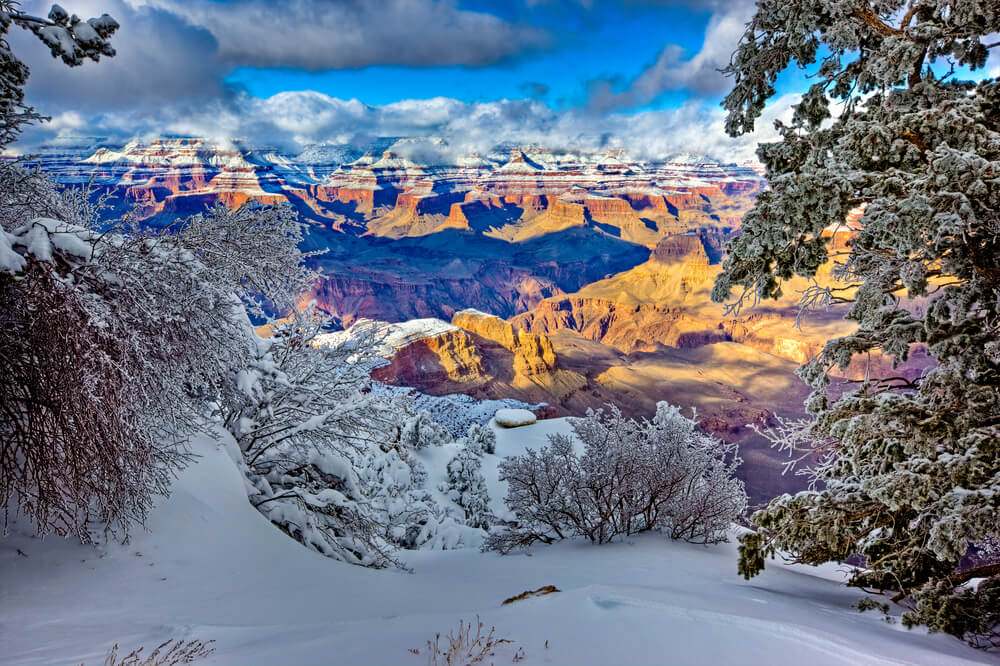 View of the North Rim from Yaki Point in winter at the Grand Canyon South Rim in Arizona, high elevation points blanketed in snow surrounded by trees.