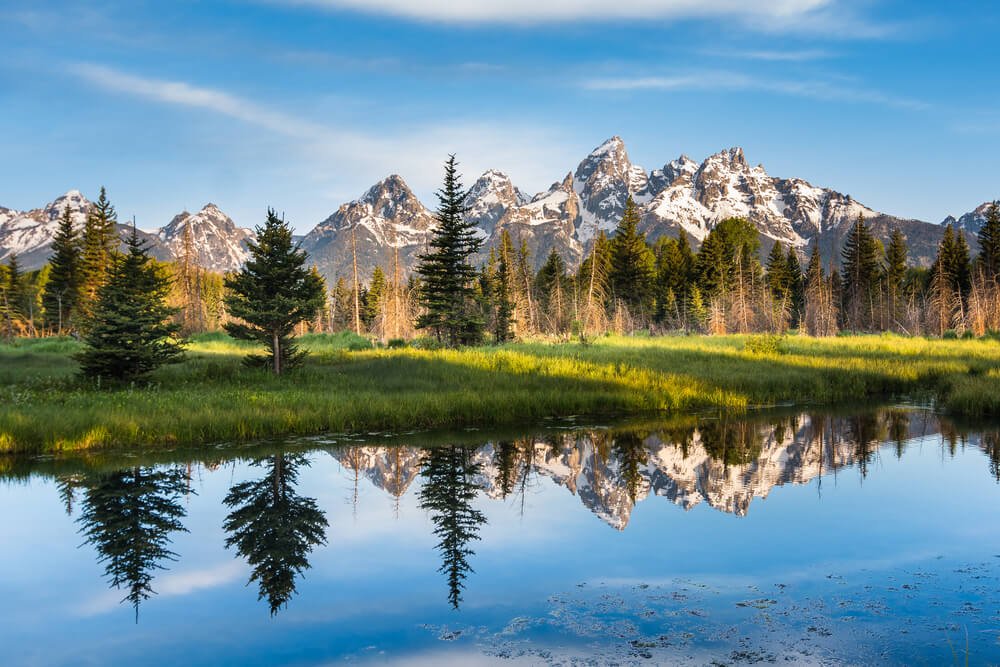 The snow-covered Teton Range is reflecting in a pond or river in the afternoon sunlight, surrounded by grass and trees.
