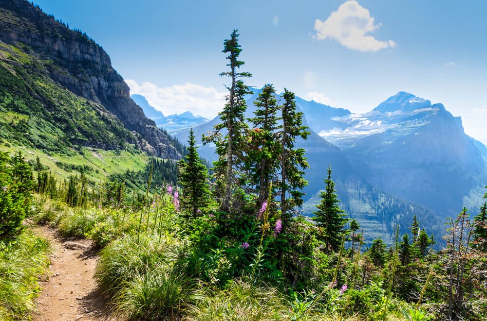 landscapes of glacier n ational park with the highline trail in sight